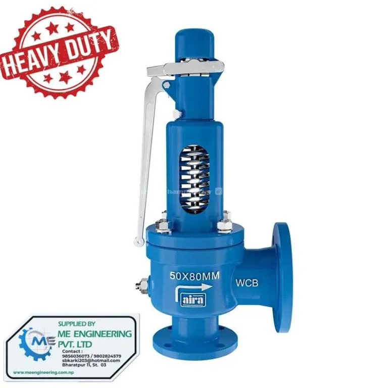 Steam Boiler Safety Valve